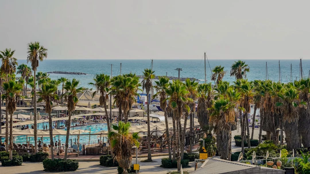 Disfruta de una vista de una playa de lujo en Mallorca con palmeras, una piscina, sombrillas y gente relajándose cerca de la orilla, mientras el mar y los veleros se extienden al fondo.