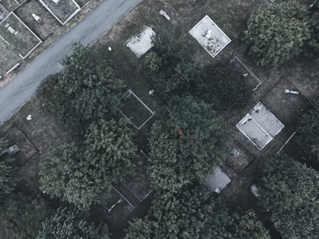 Vista aérea de un cementerio con lápidas y parcelas rectangulares en Mallorca, atravesado por una carretera y parcialmente cubierto por árboles, que capta el tranquilo lujo del paisaje de la isla.