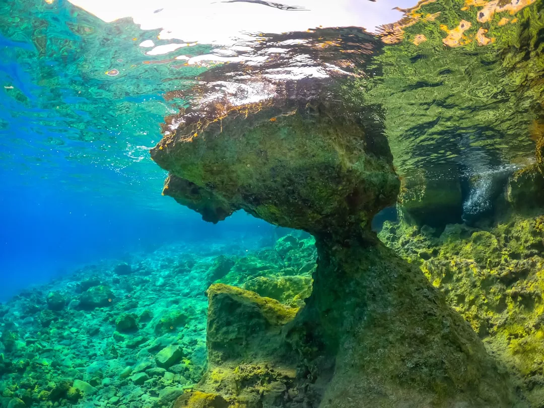 Vista submarina de una gran formación rocosa con forma de seta en Mallorca, rodeada de aguas cristalinas de color azul verdoso y terreno rocoso, que ofrece una visión del lujo natural.