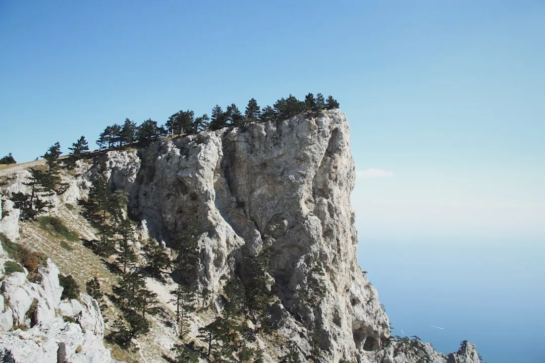 Un escarpado acantilado rocoso coronado por una hilera de pinos se eleva sobre el mar bajo un cielo azul despejado, capturando el lujo y la belleza natural de Mallorca.